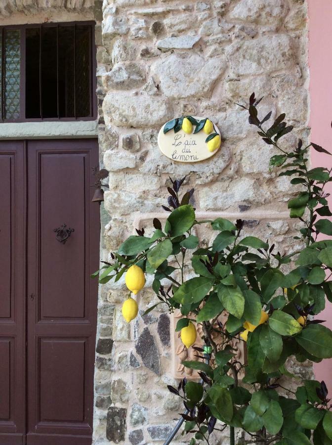 Villa Aia Dei Limoni à Tivegna Extérieur photo